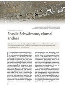 FOSSILE SCHWMME, EINMAL ANDERS