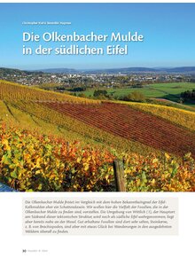 DIE OLKENBACHER MULDE IN DER SDLICHEN EIFEL