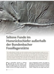 SELTENE FUNDE IM HUNSRCK- SCHIEFER AUSSERHALB DER BUNDENBACHER FOSSILLAGERSTTTE