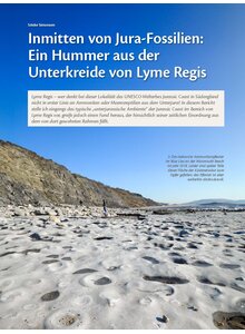 INMITTEN VON JURA-FOSSILIEN EIN HUMMER AUS DER UMKREIDE VON LYME REGIS IN SDENGLAND