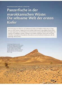 PANZERFISCHE IN DER MAROK- KANISCHEN WSTE: DIE SELTSAME WELT DER ERSTEN KIEFER