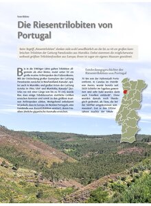Auf diesem Bild sehen Sie das Produktbild fr DIE RIESENTRILOBITEN VON PORTUGAL