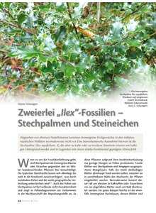 Produktbild fr Produktnummer FO240605