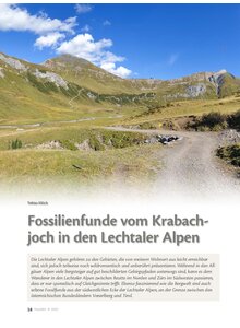 FOSSILIENFUNDE VOM KRABACH JOCH IN DEN LECHTALER ALPEN