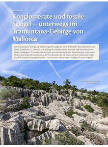 KONGLOMERATE UND FOSSILE SEE- IGEL-UNTERWEGS IM TRAMUNTANA- GEBIRGE VON MALLORCA