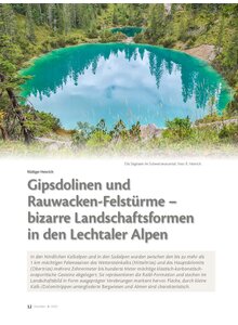 GIPSDOLINEN UND RAUWACKEN- FELSTRME - BIZARRE LAND- SCHAFTSFORMEN IN DEN ALPEN
