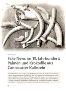FAKE NEWS IM 19. JAHRHUNDERT: PLAMEN UND KROKODILE AUS CANNSTATTER KALKSTEIN