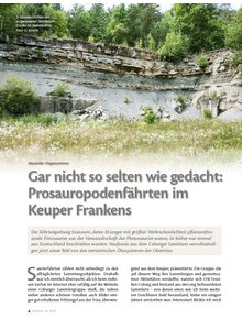 GAR NICHT SO SELTEN WIE GE- DACHT: PROSAUROPODENFHRTEN IM KEUPER FRANKENS