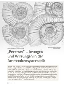 Auf diesem Bild sehen Sie das Produktbild f�r POTATOES - IRRTUM UND WIRRUNGEN IN DER AMMONITEN- SYSTEMATIK