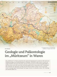 Auf diesem Bild sehen Sie das Produktbild f�r GEOLOGIE UND PAL�ANTOLOGIE IM M�RITZEUM IN WAREN