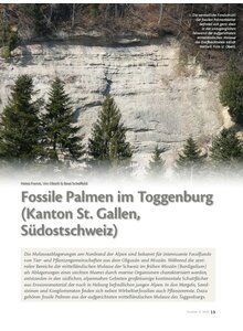 Auf diesem Bild sehen Sie das Produktbild f�r FOSSILE PALMEN IM TOGGENBURG (KANTON ST. GALLEN, S�D- OSTSCHWEIZ)
