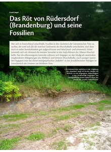 Auf diesem Bild sehen Sie das Produktbild f�r DAS R�T VON R�DERSDORF (BRANDENBURG) UND SEINE FOSSILIEN