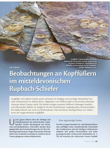 Auf diesem Bild sehen Sie das Produktbild f�r BEOBACHTUNGEN AN KOPF- F�SSERN IM MITTELDEVONISCHEN RUPBACH-SCHIEFER