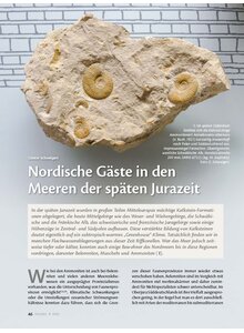 Auf diesem Bild sehen Sie das Produktbild f�r NORDISCHE G�STE IN DEN MEEREN DER SP�TEN JURA