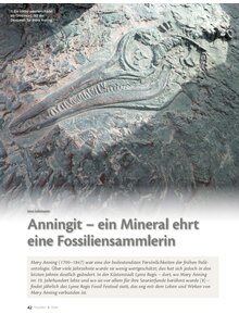 ANNINGIT - EIN MINERAL EHRT EINE FOSSILIENSAMMLERIN
