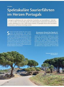SPEKTAKUL�RE SAURIER- F�HRTEN IM HERZEN PORTUGALS