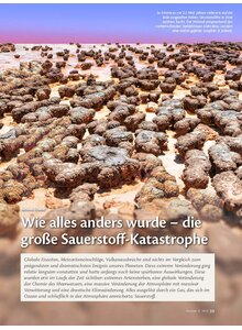 WIE ALLES ANDERS WURDE - DIE GROSSE SAUERSTOFF- KATASTROPHE