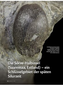 DIE S�RVE-HALBINSEL (SAAREMAA ESTLAND) - EIN SCHL�SSELGEBIET DER SP�TEN SILURZEIT