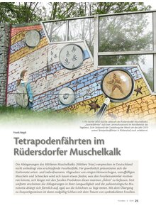 TETRAPODENF�HRTEN IM R�DERSDORFER MUSCHELKALK
