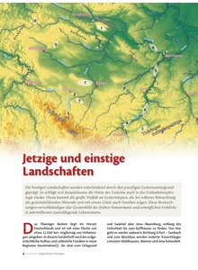 Produktbild fr Produktnummer FOSH2401