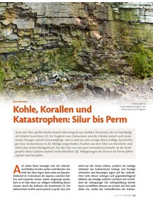 Auf diesem Bild sehen Sie das Produktbild fr KOHLE, KORALLEN UND KATAS- TROPHEN: SILUR BIS PERM