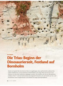 Auf diesem Bild sehen Sie das Produktbild fr DIE TRIAS: GEBINN DER DINO- SAURIERZEIT, FESTLAND AUF BORNHOLM