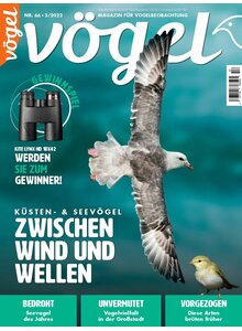 Auf diesem Bild sehen Sie das Produktbild fr VGEL AUSGABE 2-2022
