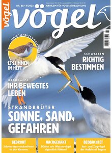Auf diesem Bild sehen Sie das Produktbild fr VGEL AUSGABE 4-2022