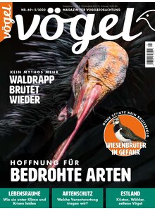 Auf diesem Bild sehen Sie das Produktbild fr VGEL AUSGABE 5-2022
