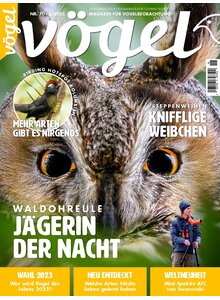 Auf diesem Bild sehen Sie das Produktbild fr VGEL AUSGABE 6-2022