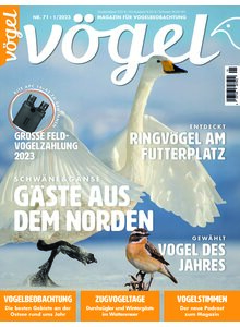 Auf diesem Bild sehen Sie das Produktbild fr VGEL AUSGABE 1-2023