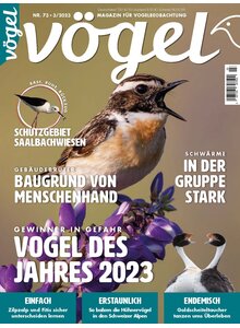 Auf diesem Bild sehen Sie das Produktbild fr VGEL AUSGABE 3-2023