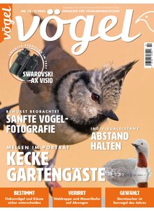 Auf diesem Bild sehen Sie das Produktbild fr VGEL AUSGABE 2-2024