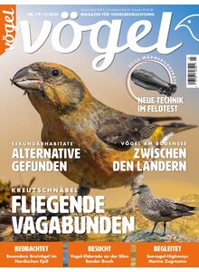Auf diesem Bild sehen Sie das Produktbild fr VGEL AUSGABE 3-2024