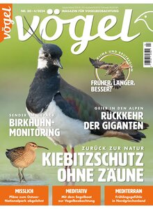 Auf diesem Bild sehen Sie das Produktbild fr VGEL AUSGABE 4-2024