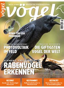 Auf diesem Bild sehen Sie das Produktbild fr VGEL AUSGABE 5-2024