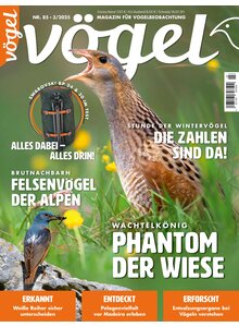VGEL AUSGABE 3-2025