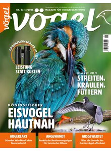 V�GEL AUSGABE 5-2026